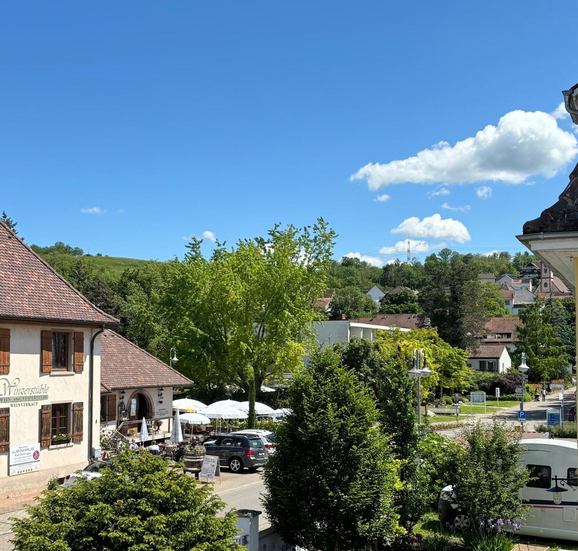Gesamte Wohnung, Kueche, Parkplatz, Terrasse Bad Bellingen Exterior foto