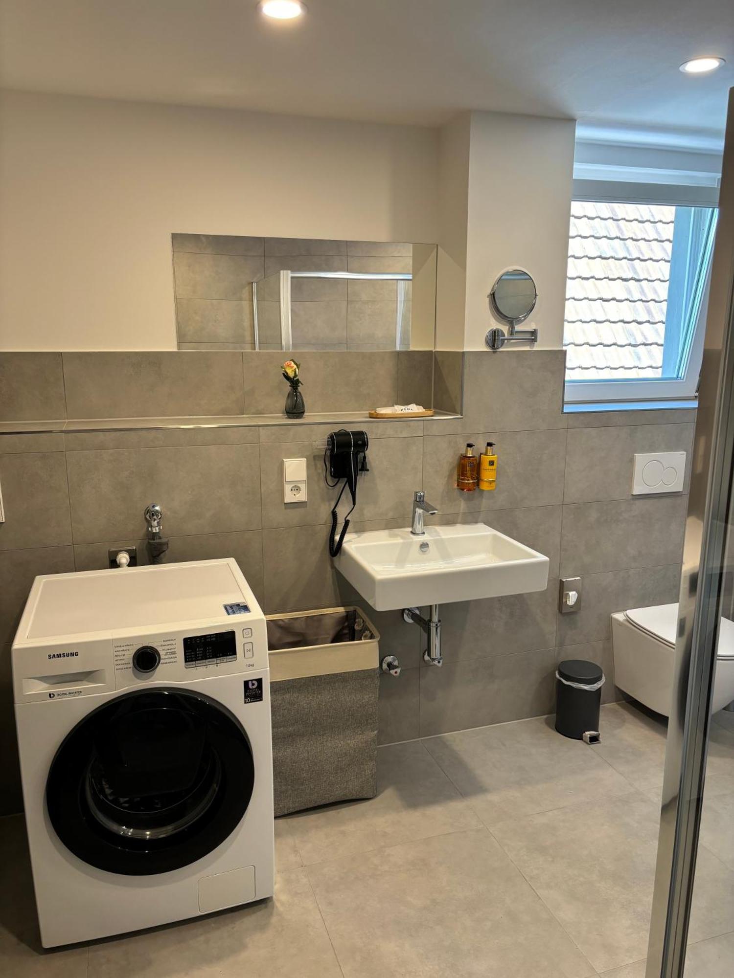 Gesamte Wohnung, Kueche, Parkplatz, Terrasse Bad Bellingen Exterior foto